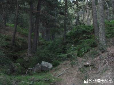 Cuerda de las Cabrillas - Senderismo en el Ocaso;arbol del tejo agencias de senderismo madrid